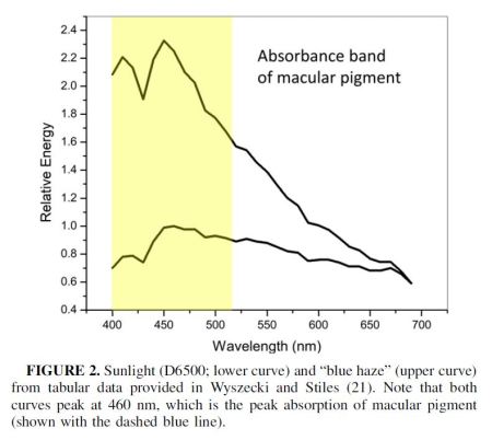 anti-glare computer eye strain diet-macular pigment vs sunlight and blue haze