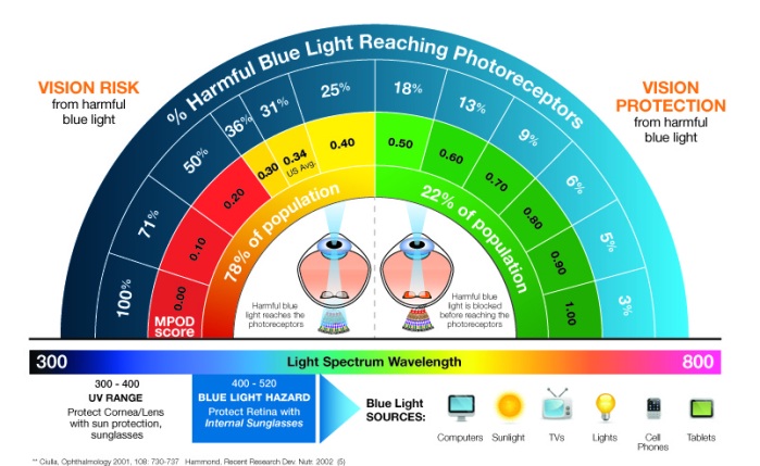 eyes sensitive to light-macular pigment bluelight filtering statistics